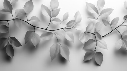 Poster - elegant black and white wallpaper featuring soft leaf shadows providing ample copy space for text ideal for minimalist designs and nature themed projects.image