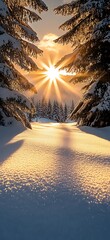 Poster - The sun shines through the trees, casting long shadows on the snow-covered : Generative AI