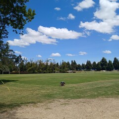 golf course on the course