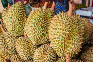 Durians for sale at market.