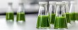 © Thann - Exploring the vibrant green solutions in science a closer look at algae cultures in laboratory flasks