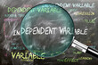 © GoodIdeas - Independent Variable being studied, examined - under close inspection. Most important subjects and ideas closely related to independent variable. ,3d illustration