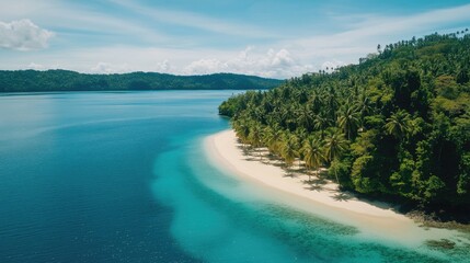 Serene Tropical Beach with Crystal Clear Water