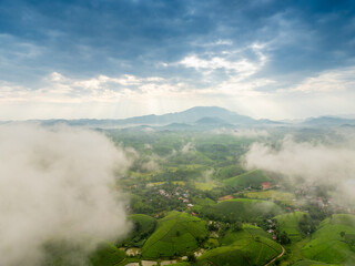 Aerial view of Long Coc tea hills, Phu Tho province, Vietnam. Beautiful green tea plantation in Vietnam. Nature background.