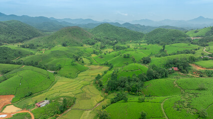 Aerial view of Long Coc tea hills, Phu Tho province, Vietnam. Beautiful green tea plantation in Vietnam. Nature background.