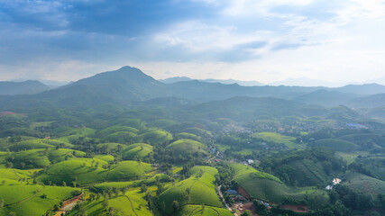 Aerial view of Long Coc tea hills, Phu Tho province, Vietnam. Beautiful green tea plantation in Vietnam. Nature background.