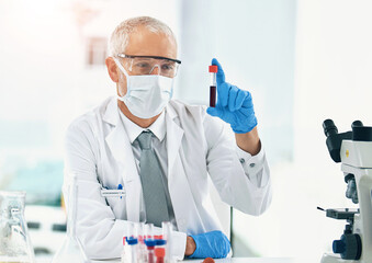 Wall Mural - Science, vaccine and doctor with blood in a test tube with results of medical exam in a lab or laboratory. Medicine, research and healthcare man or chemistry professional with solution for covid