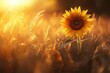 © Oleksandr - Sunflower Growing. Beautiful Sunset Light in Summer Meadow, Calm Tranquil Moment in Countryside