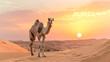 © Алла Морозова - Camel is standing in the desert at sunset
