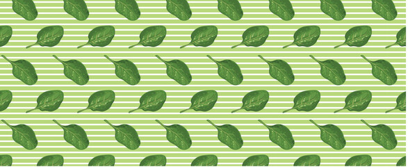 Seamless pattern of Leaf fresh spinach. Background of Green leaves vitamin salad. Rich source of vitamin K, vitamin A, iron and silicon. Vector banner.