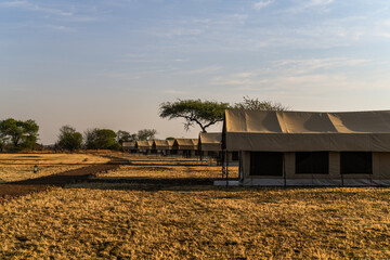 Wall Mural - Serengeti Kati Kati Camp