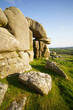 © Travel 'n' Lifestyle - View of beautiful Helman Tor granite outcrop in serene countryside, Bodmin, United Kingdom.