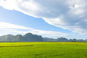 The view of the rice fields brings forth an unforgettable beauty