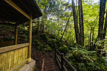 Tateshina Otaki Falls in Japan