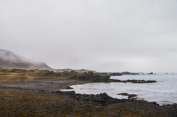 Wall Mural - nature sceneries taken from Fauskasandur beach along the route 1 between hofn and Egilsstadir, Iceland