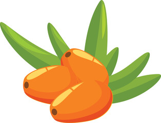 Poster - Three sea buckthorn berries surrounded by leaves are lying on a white surface