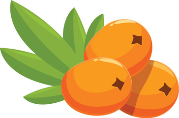 Poster - this illustration shows three ripe sea buckthorn berries with leaves, bursting with color