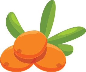 Poster - three ripe sea buckthorn berries with leaves growing from a stem are isolated on a white background