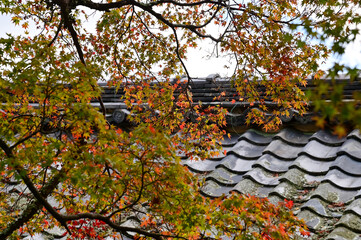 Close-up of the roof of Tenryuji Temple in Kyoto, Japan with trees. Roof tile pattern. Major tourist attraction in Kansai region in Japan. Japan famous historic architecture. Building structure.