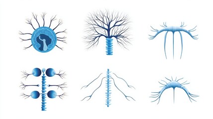Poster - of Interconnected Neurons and Neural Network Structure
