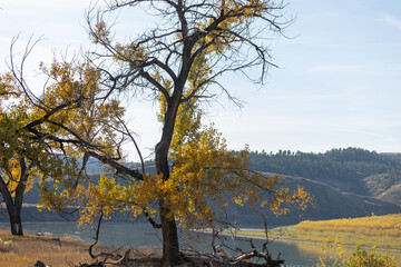 Central Montana, Phillips County, Fall Foliage, October, Winter