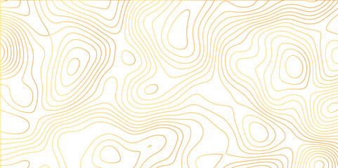 Naklejka na meble Fresh clean topography vector abstract background desktop wallpaper for print works digital drawing curved lines flowing trail geo texture