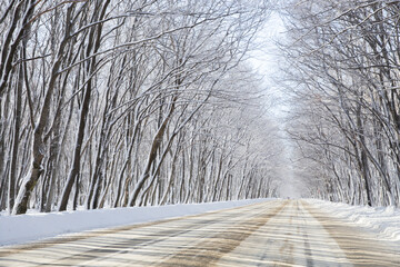 beautiful empty winter road after the snowfall