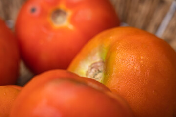 closeup of a basket full of ripe red tomatoes with the texture of water drops on the plant