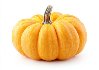 Wall Mural - A single, ripe, orange pumpkin isolated on a white background.