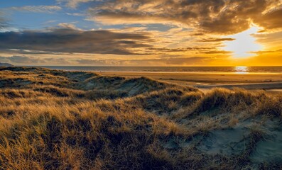 Wall Mural - sunset over grassy dunes in the foreground of Otaki Beach on the Kapiti Coast of New Zealand