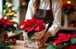© Arttali_Neuro - A florist woman in an apron packaging a vibrant red poinsettia in decorative wrapping. Concept of holiday preparations, festive floral arrangements, and Christmas gifts, New Year