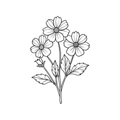  Elegant Hand-Drawn Floral Line Art Illustration


