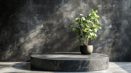Poster - Elegant dark stone podium arrangement Subtle backdrop for showcasing products Soft natural shadow on textured wall Setting designed for minimalistic mock up display with ample copy space