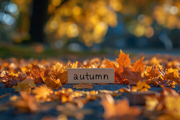 Wall Mural - autumn leaves on the ground and the word 