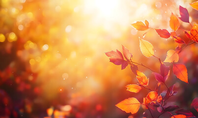 Canvas Print - Fall background. Autumn colorful leaves and sun flares