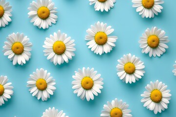 Daisy pattern on turquoise background