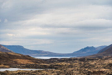 Wall Mural - icelandic seals inside the Ytri Tunga Beach, Snaefellness Peninsula, Iceland