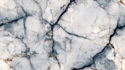 Poster - Abstract background featuring a beautifully decorated natural marble surface with cracks Deep intricate structures of stone create a visually striking marble wall A combination of light and dark c