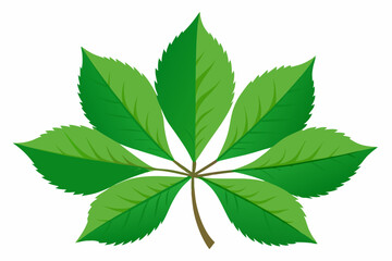 Sticker - Green leaves on a white background