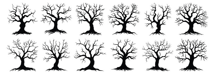 Wall Mural - Horror tree silhouette set vector design big pack of tree illustration and icon