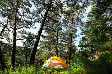 Poster - Modern camping tent in forest at summer