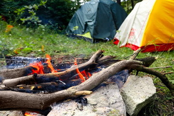 Wall Mural - Beautiful bonfire and camping tents in forest