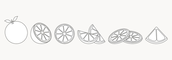Wall Mural - orange fruit line icons. vector illustration for design and print.