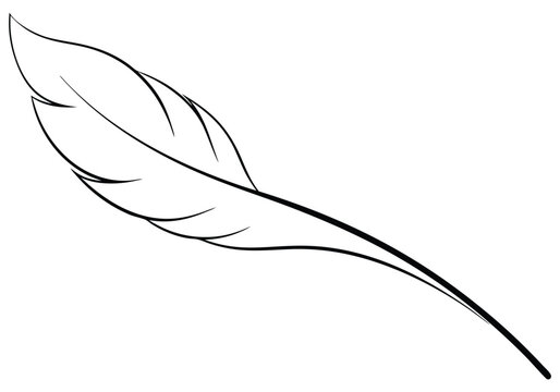 Continuous Line Art of a Floating Feather – Elegant Minimalist Vector