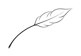 Poster - Continuous Line Art of a Floating Feather – Elegant Minimalist Vector