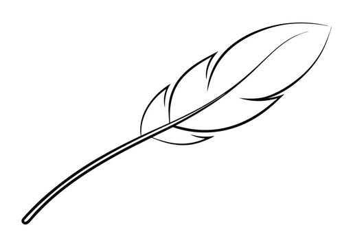 Continuous Line Art of a Floating Feather – Elegant Minimalist Vector