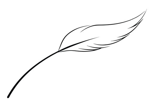 Continuous Line Art of a Floating Feather – Elegant Minimalist Vector