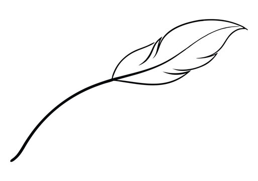 Continuous Line Art of a Floating Feather – Elegant Minimalist Vector