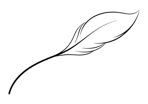 Continuous Line Art of a Floating Feather – Elegant Minimalist Vector