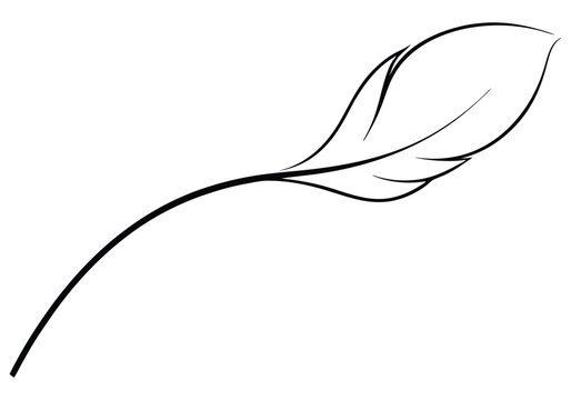 Continuous Line Art of a Floating Feather – Elegant Minimalist Vector
